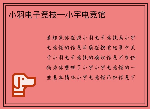 小羽电子竞技—小宇电竞馆